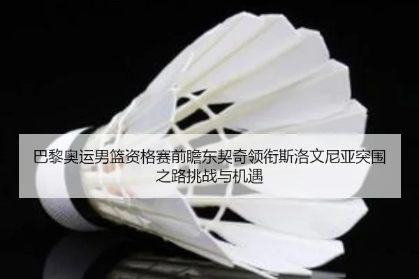 巴黎奥运男篮资格赛前瞻东契奇领衔斯洛文尼亚突围之路挑战与机遇